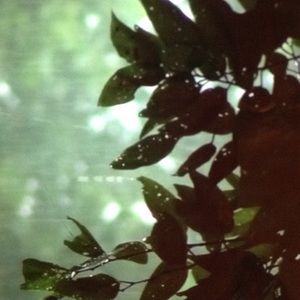 Meet your Posher, Gabby